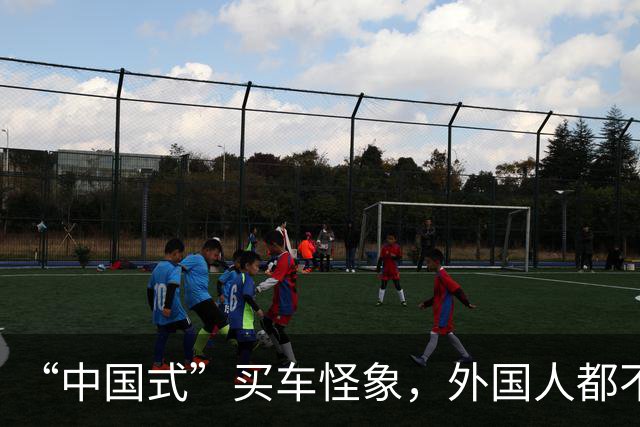 “中国式”买车怪象，外国人都不理解：看看你是不是也这样？