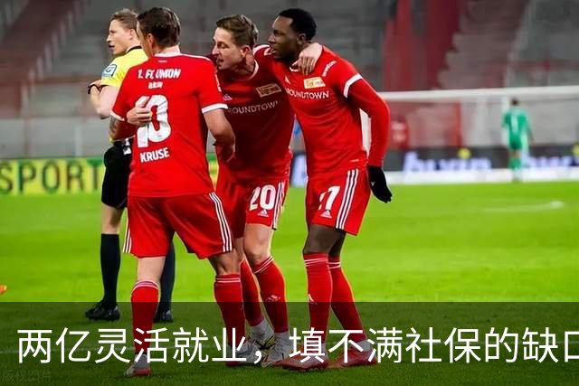 两亿灵活就业，填不满社保的缺口