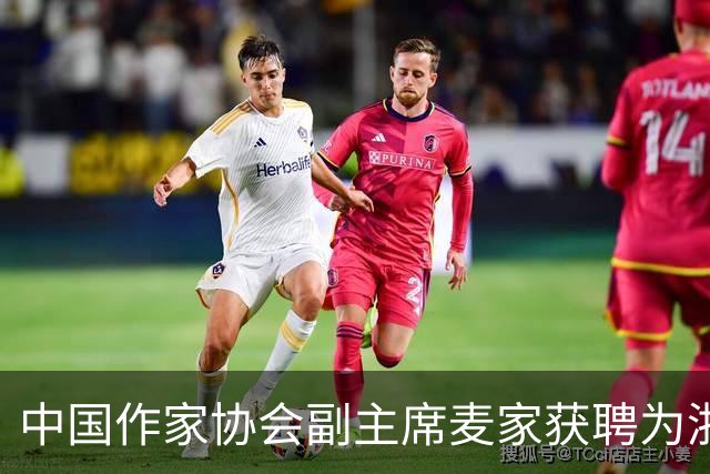 中国作家协会副主席麦家获聘为浙江大学成均讲席教授