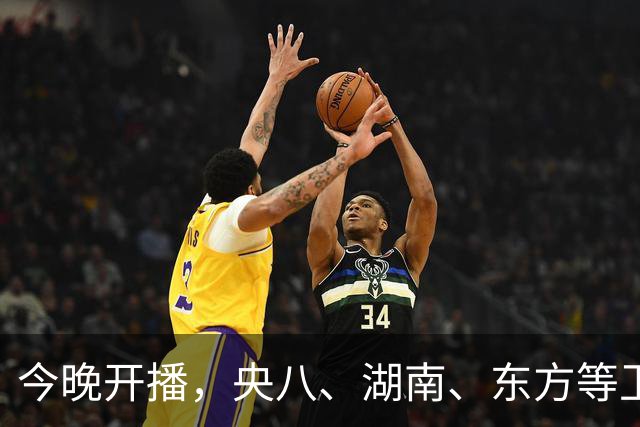 今晚开播，央八、湖南、东方等卫视黄金档排播4部大剧，追哪部