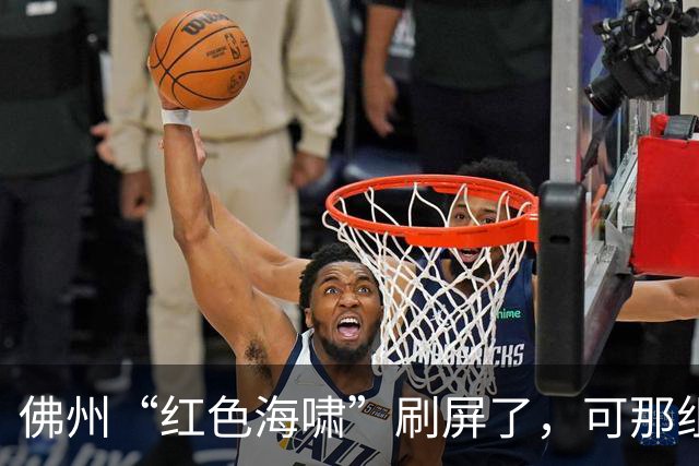 佛州“红色海啸”刷屏了，可那组数据经不起翻到第二页
