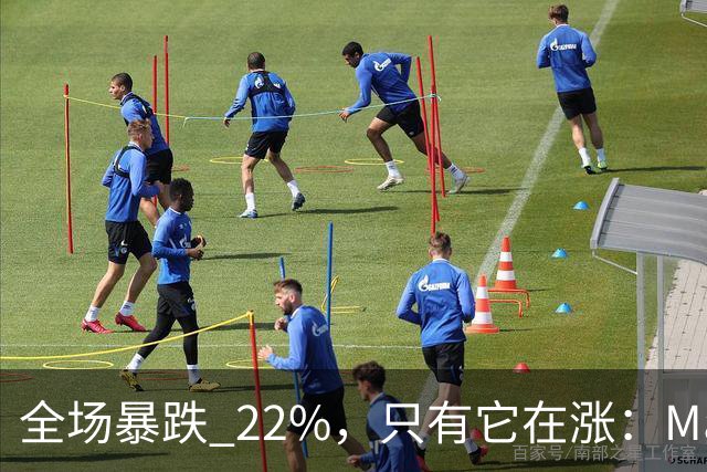 全场暴跌 22%，只有它在涨：Mate 80 的 900 万台是谁买的？