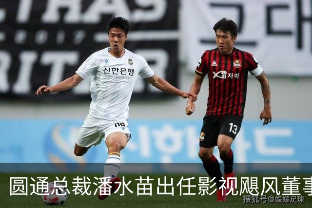 圆通总裁潘水苗出任影视飓风董事长，系Tim父亲；Tim仍为最大股东，持股比例51.77%！影视飓风在多平台拥有千万级粉丝，年营收早已过亿