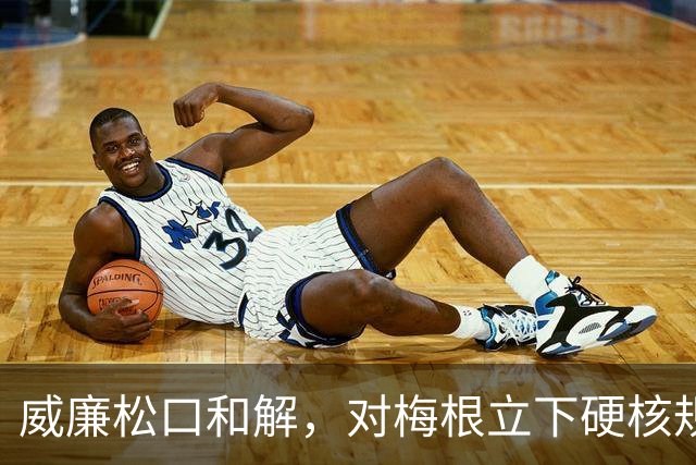 威廉松口和解，对梅根立下硬核规矩，破冰来之不易！