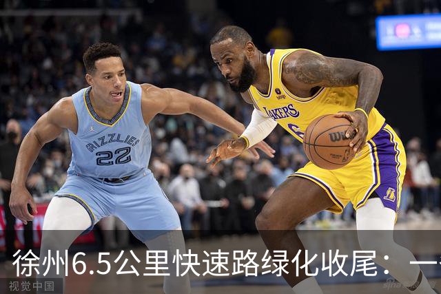 徐州6.5公里快速路绿化收尾：一条高架的价值，一半在桥面上，一半在桥下