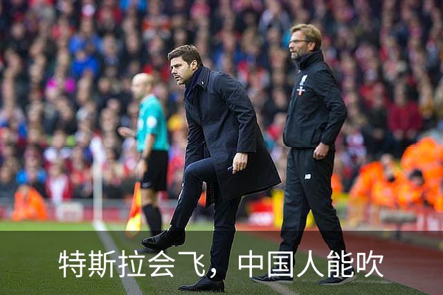 特斯拉会飞，中国人能吹