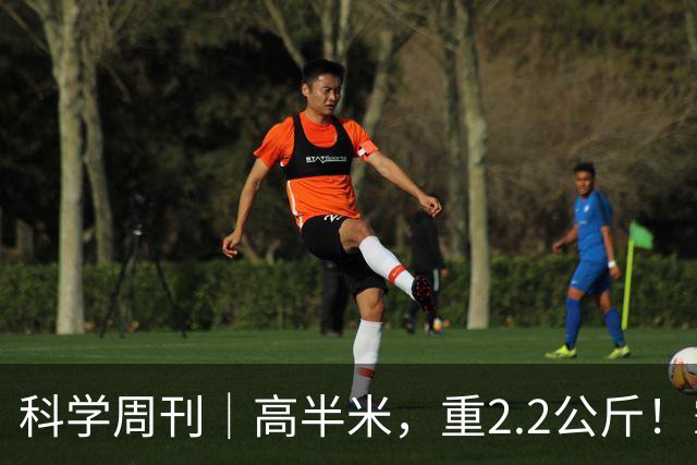 科学周刊｜高半米，重2.2公斤！霸王滇菌是怎么长到这么大的？大风新闻专访微生物研究专家